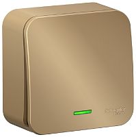 Выключатель с подсветкой накладной Systeme Electric Blanca 1-кл. титан картинка